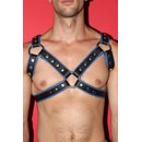 Chest harness M, exclusive, leather, black/blue....