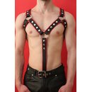 Harness M-Design, exclusive, leather, black/red....