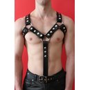 Harness M-Design, Classic Style, leather, black....