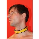 Leder Halsband Fessel, schmal, Exklusiv, schwarz / gelb