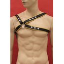 Cest harness Freestyle, leather, black/yellow....