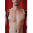 HALFTER LEDER HARNESS mit Piping in rot