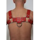 Chest harness, "Bulldog", classic style....