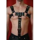 Bulldog chest harness, with penis strap, classic style,...