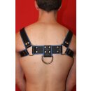 Chest harness "Bulldog II" with penis strap, leather, black/blue S-M