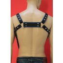 Bulldog chest harness, "V-Style", leather, black/blue S-M