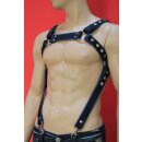 Bulldog chest harness, "Suspender", leather, black/blue S-M