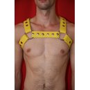 Chest harness Bulldogcross, exlusive, leather, yellow L-XL