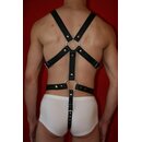 Harness "Exclusive", two in one, leather,...