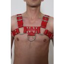 Chest harness, "Bulldog", classic style L-XL