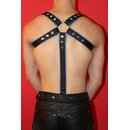 Harness "M-Design", exclusive, leather, black/blue. Slingking™
