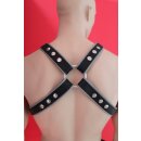 Harness "Y-Front", leather, black/grey....