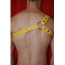 Chest harness "3 stripes", exclusive, leather,...