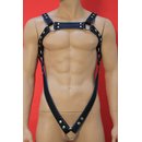 Bulldog harness, V-Style, leather, black/blue....